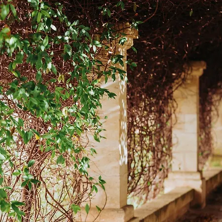 Masseria Ancella * Montalbano (Apulia)